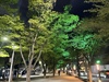수성못